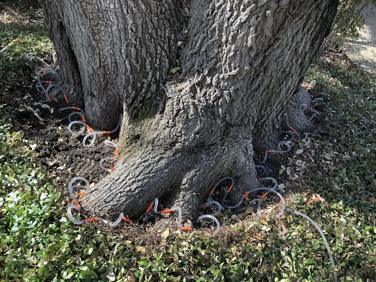 Detailed Shrub and Hedge Trimming job site in Lynn Center