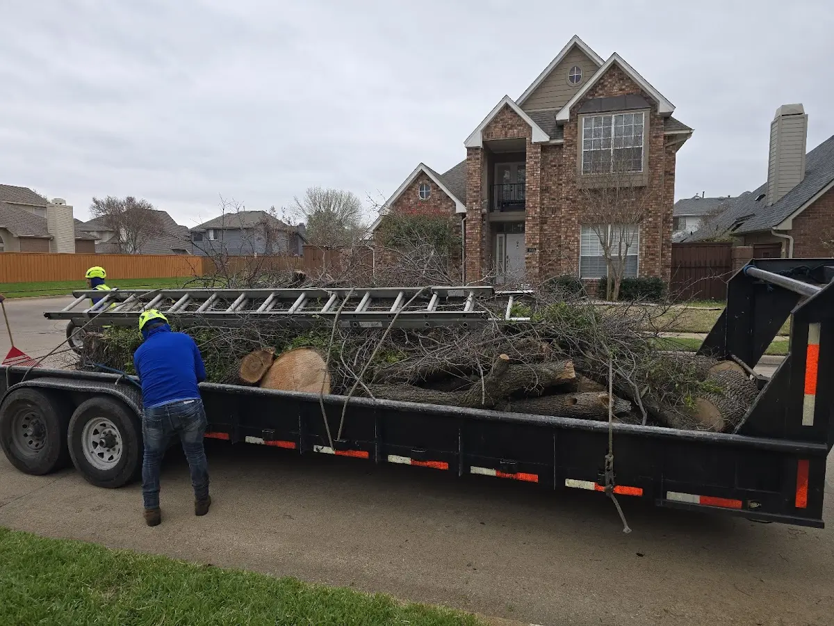 Expert Tree Removal with proper safety equipment in Lynn Center